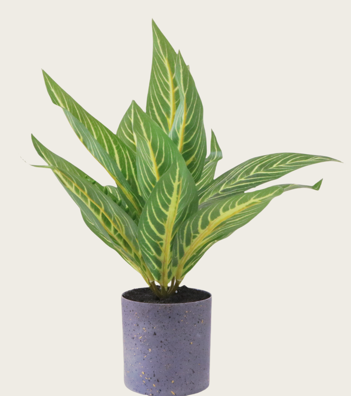 Artificial Green Zebra Plant