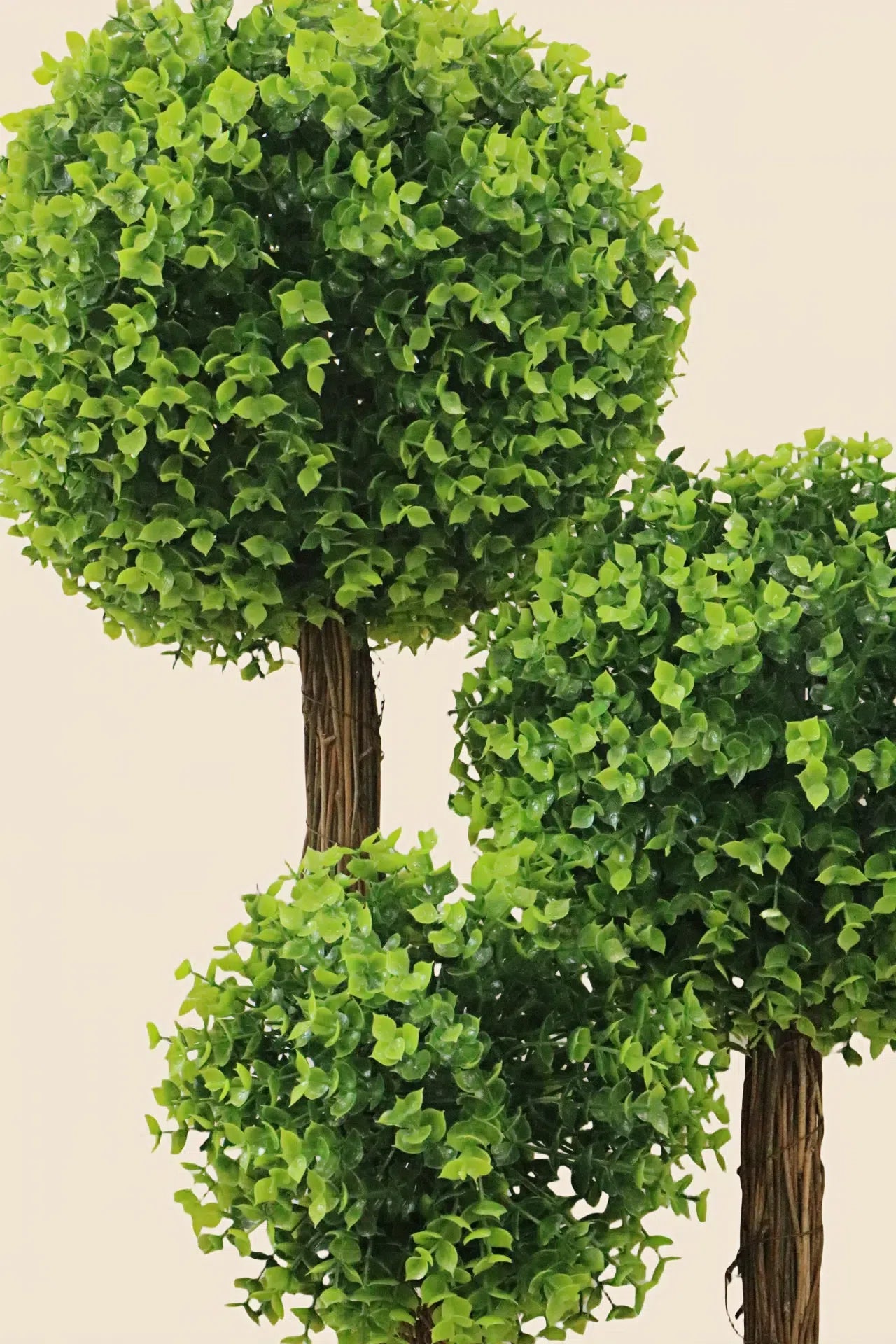 Triple Topiary Tree